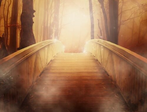The Bridge